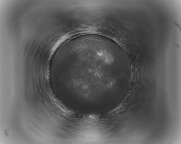 X0000102810056200808181232