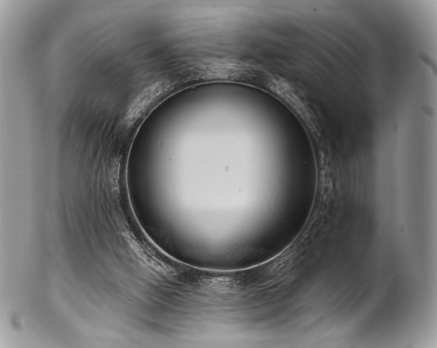 X0000102810058200808181232