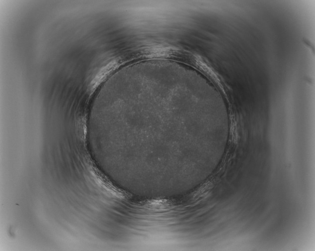 X0000102810059200808181233