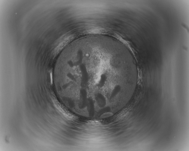 X0000102810061200808181233