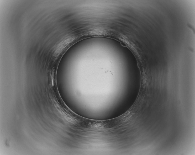 X0000102810062200808181233