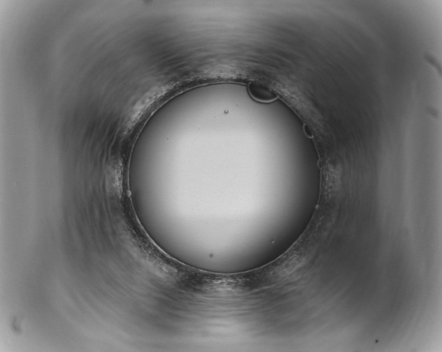 X0000102810064200808181233