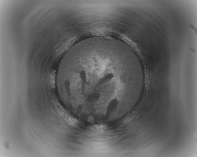 X0000102810065200808181233