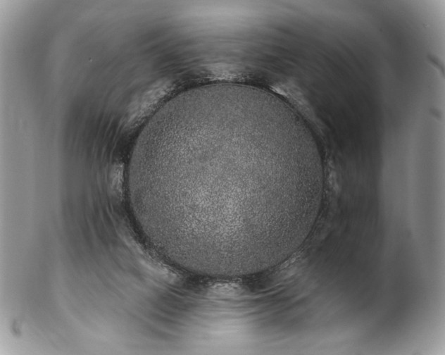 X0000102810066200808181233