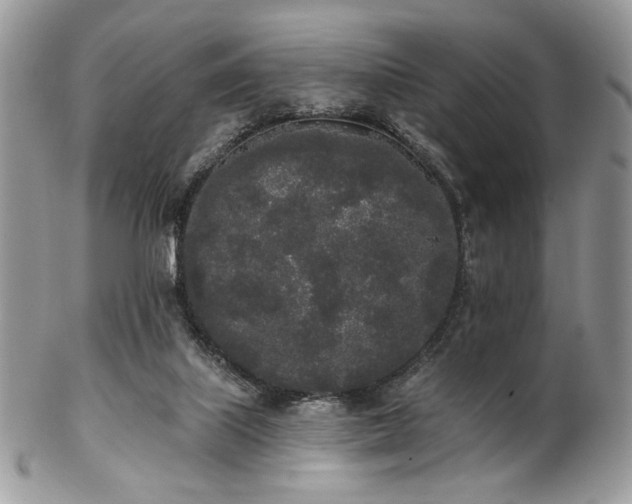 X0000102810067200808181233