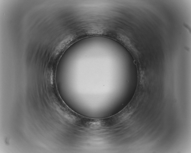 X0000102810068200808181233