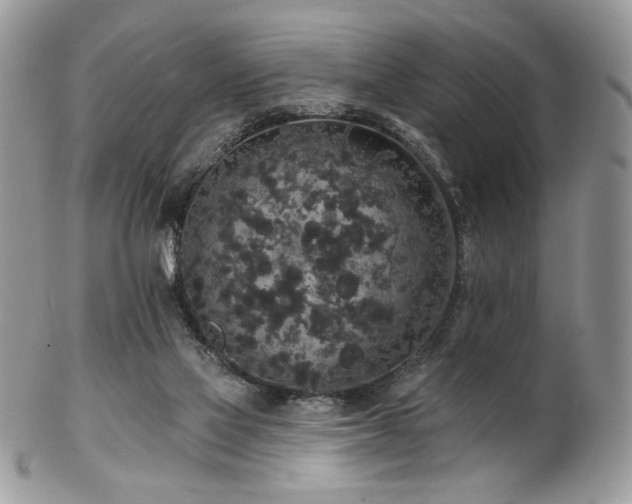 X0000102810069200808181233