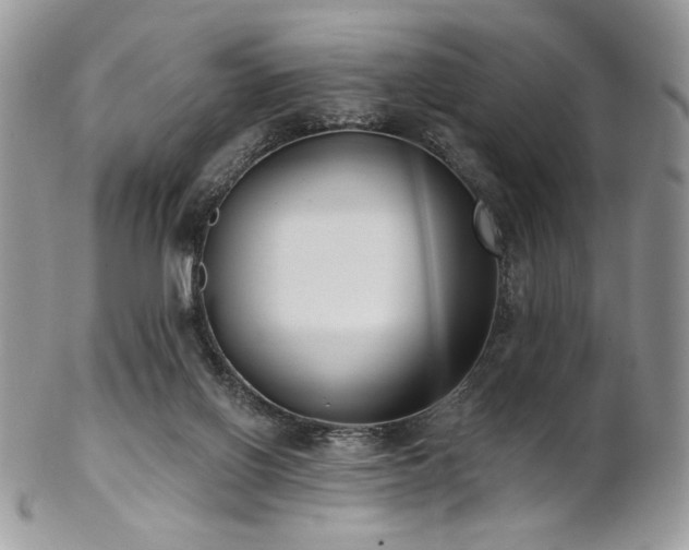 X0000102810070200808181233