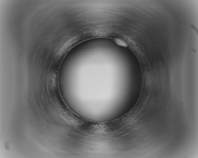 X0000102810071200808181233