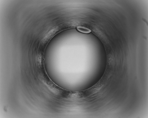 X0000102810072200808181233