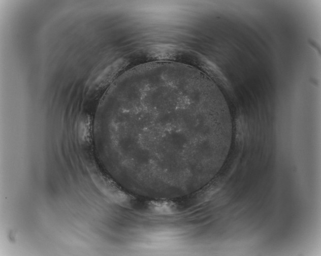 X0000102810073200808181233