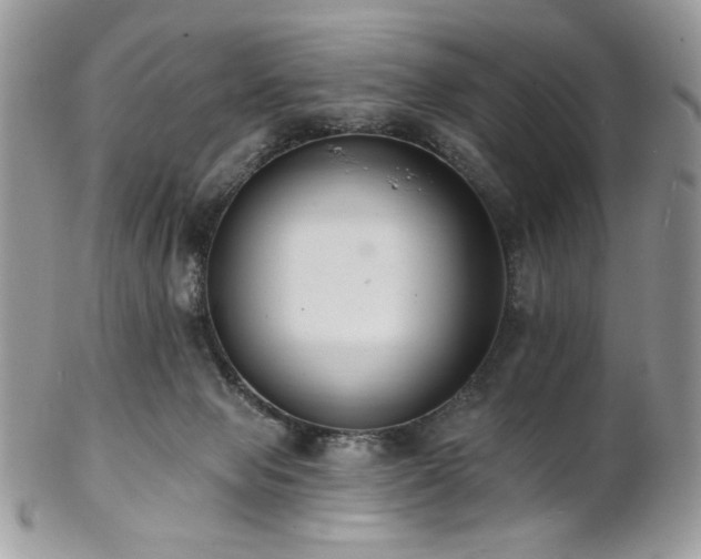 X0000102810077200808181233