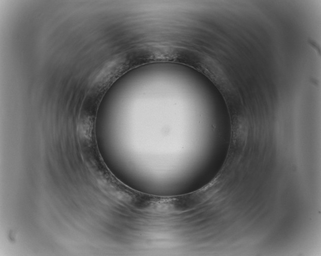 X0000102810078200808181233