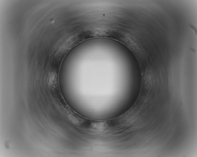 X0000102810079200808181233