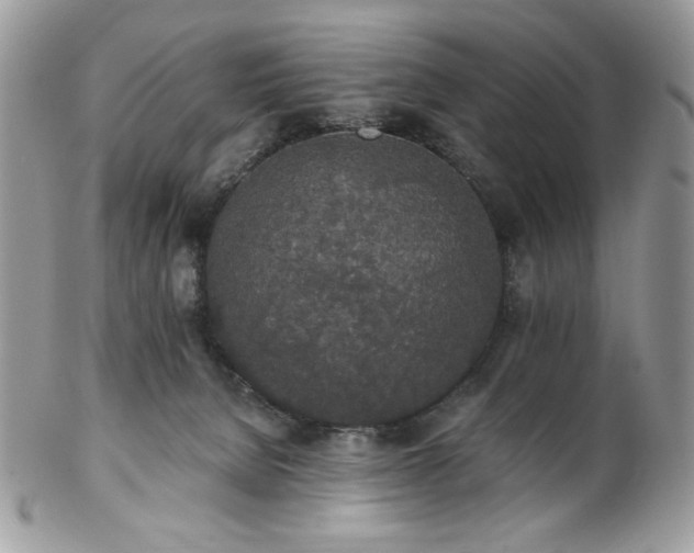 X0000102810080200808181233