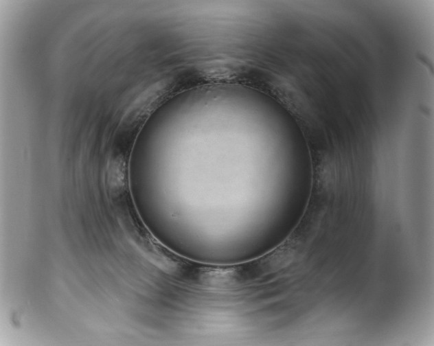 X0000102810081200808181233