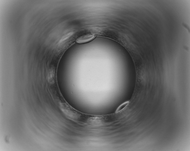 X0000102810082200808181233