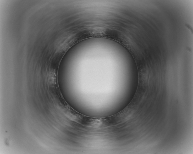 X0000102810083200808181233