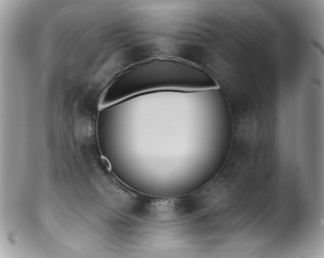 X0000102810084200808181233