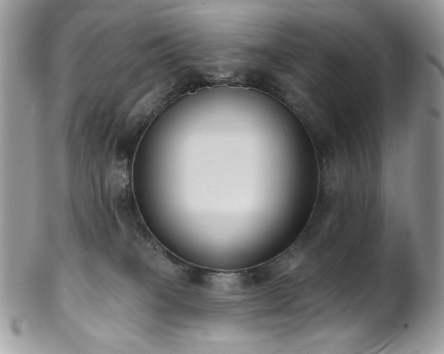 X0000102810085200808181233