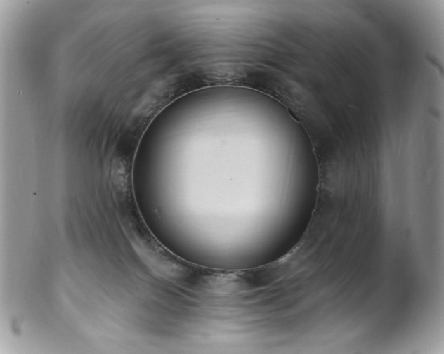 X0000102810086200808181233