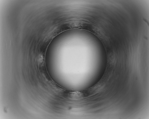 X0000102810087200808181233