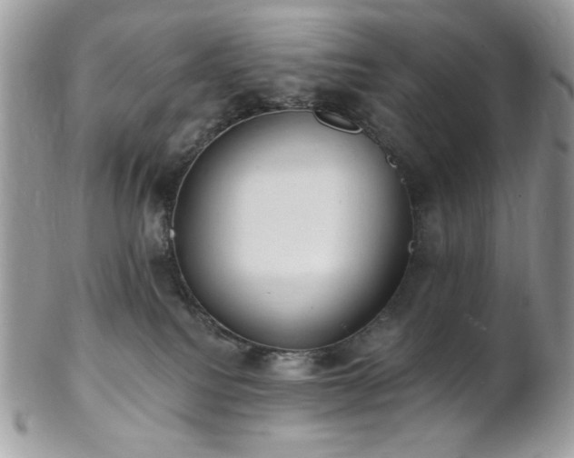 X0000102810088200808181233