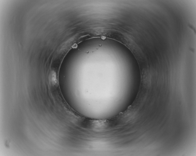 X0000102810089200808181233