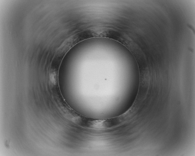 X0000102810090200808181233