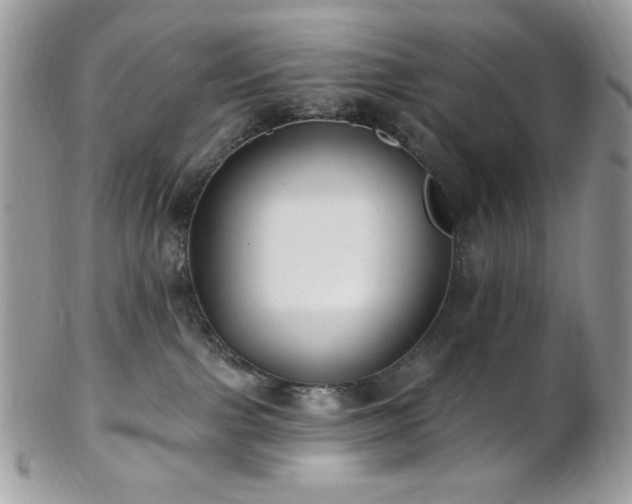 X0000102810091200808181233