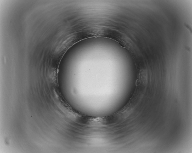 X0000102810092200808181233