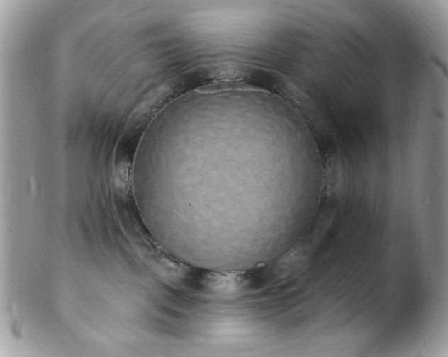 X0000102810093200808181233