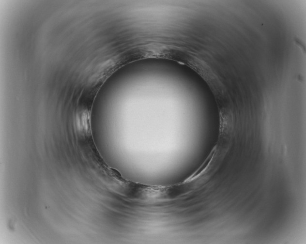 X0000102810094200808181233