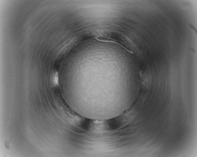 X0000102810095200808181233