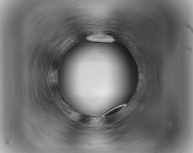 X0000102810096200808181233