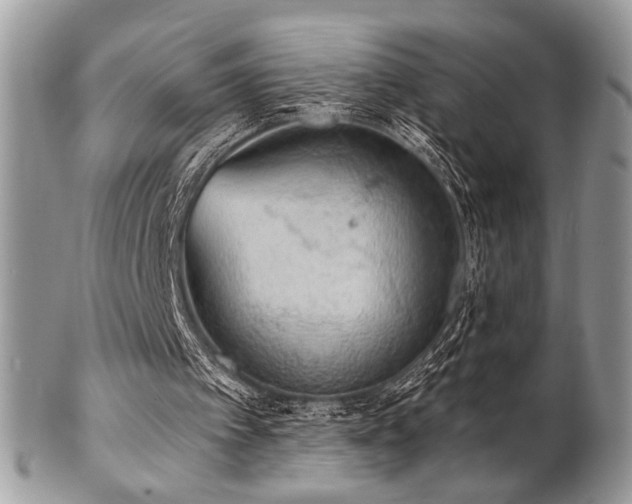 X0000102810097200808181232