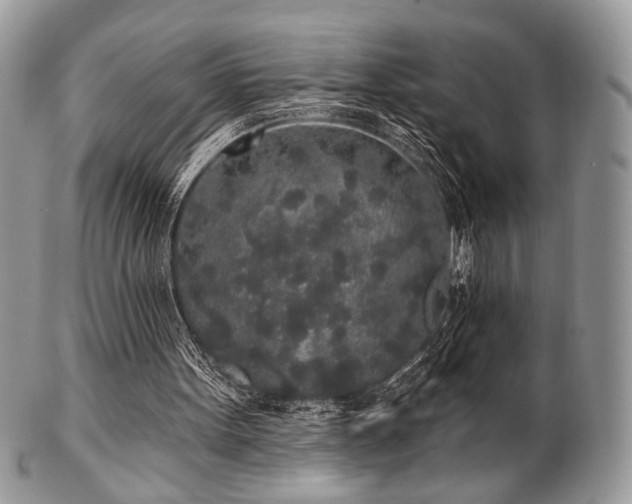 X0000102810099200808181232