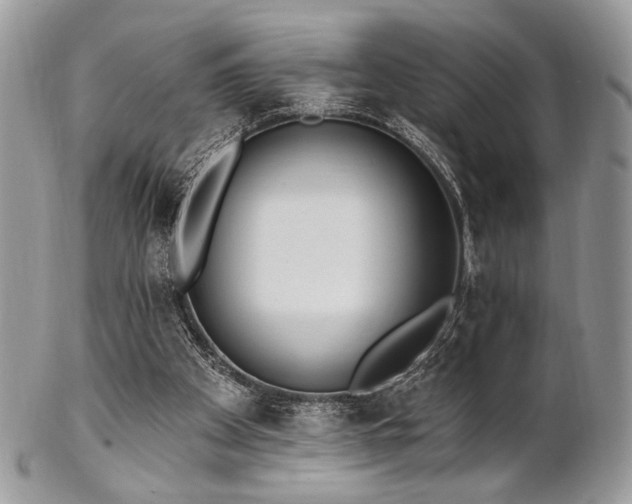 X0000102810105200808181232