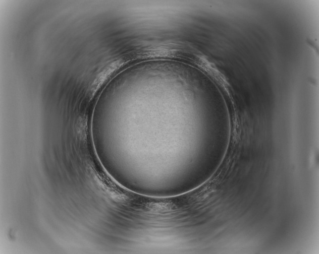 X0000102810107200808181232