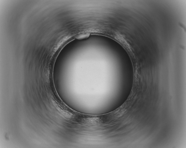 X0000102810108200808181232