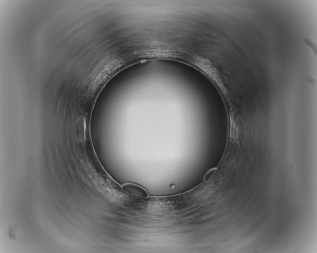 X0000102810109200808181232