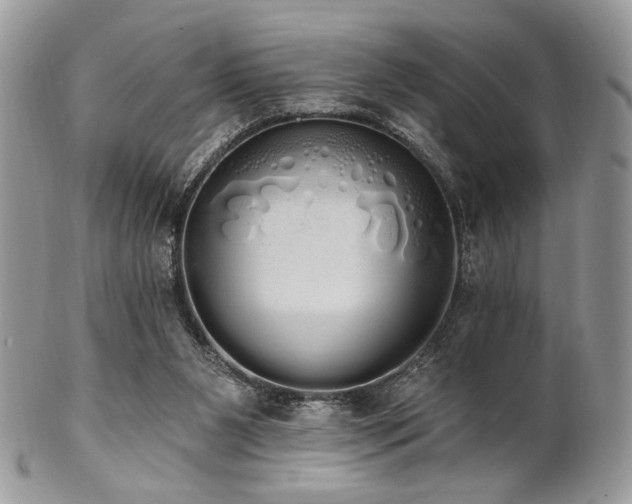 X0000102810111200808181232