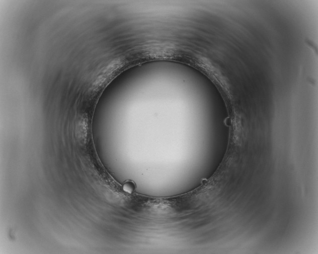 X0000102810113200808181232