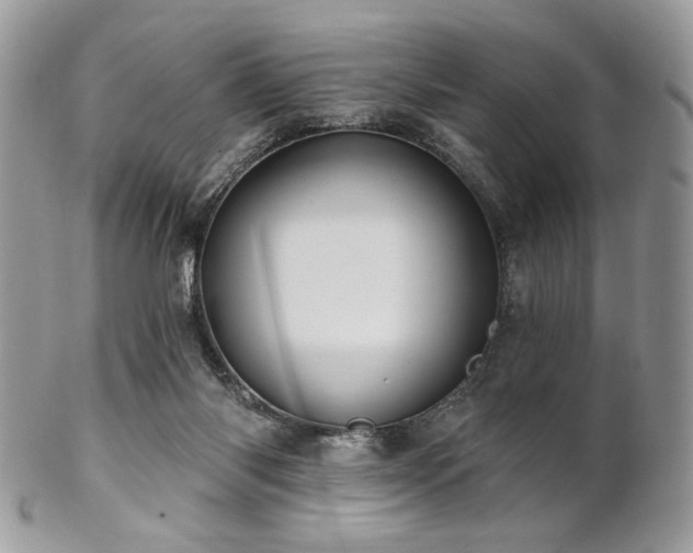 X0000102810118200808181232