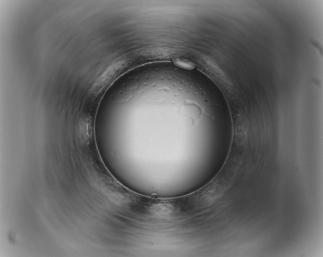 X0000102810119200808181232