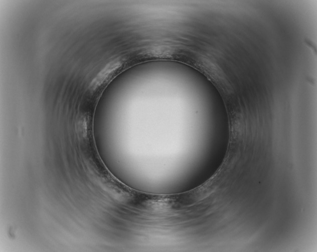 X0000102810120200808181232