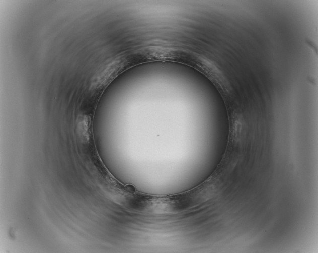 X0000102810121200808181232