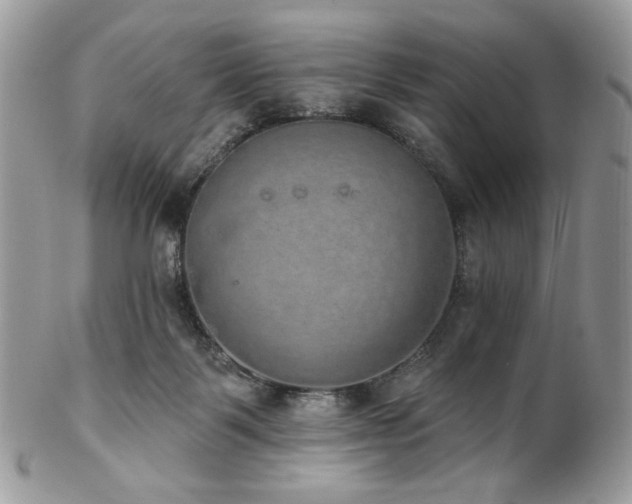 X0000102810123200808181232