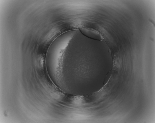 X0000102810124200808181232