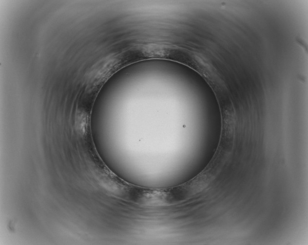 X0000102810125200808181232